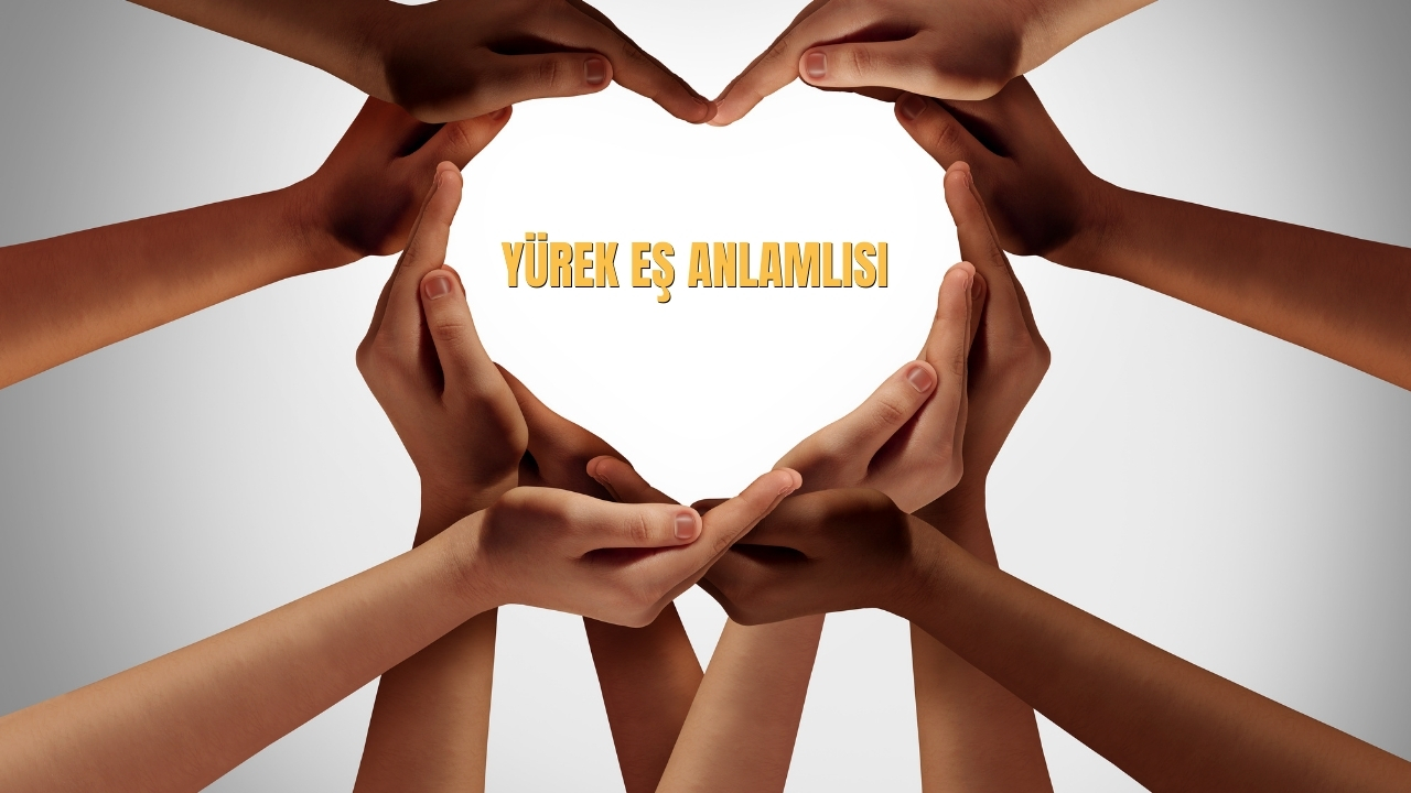 Yurek Es Anlamlisi Nedir