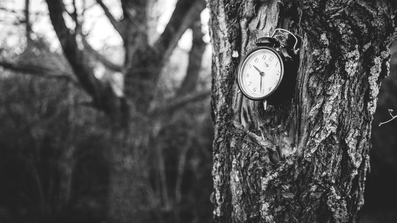 Zaman Yolculugu Gunu