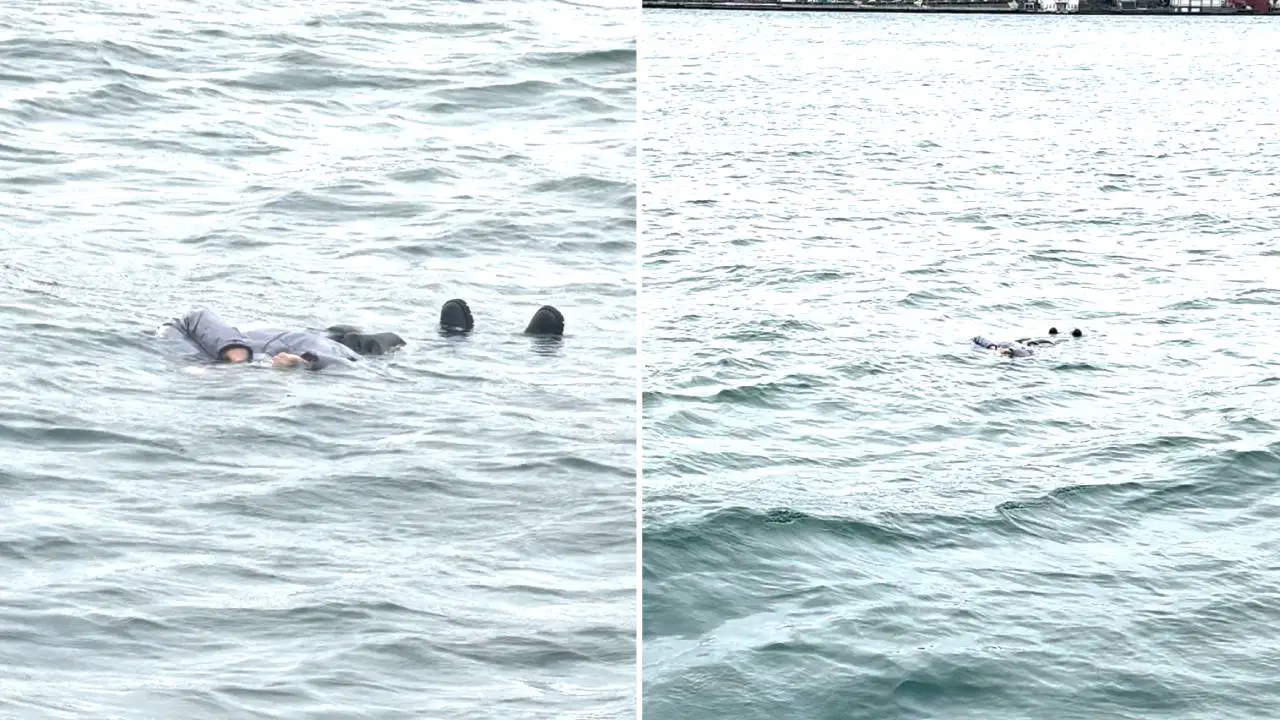 0E62B1Ad 78D1 42Ae 8264 4Dfc060F0Fff