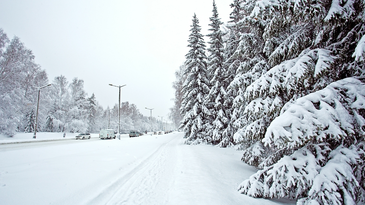 1 Ocak Dunya Ne Gunu