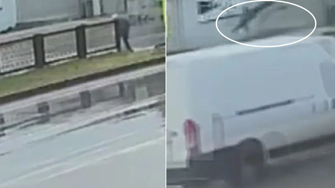 1D19695A 0719 4Fb5 Bd07 32B3Fb02E305