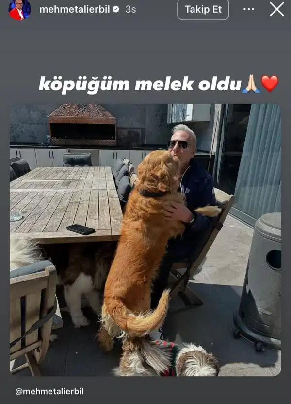 279A3995 1Aaa 4B1E Ad5A E5C173E54Fa1