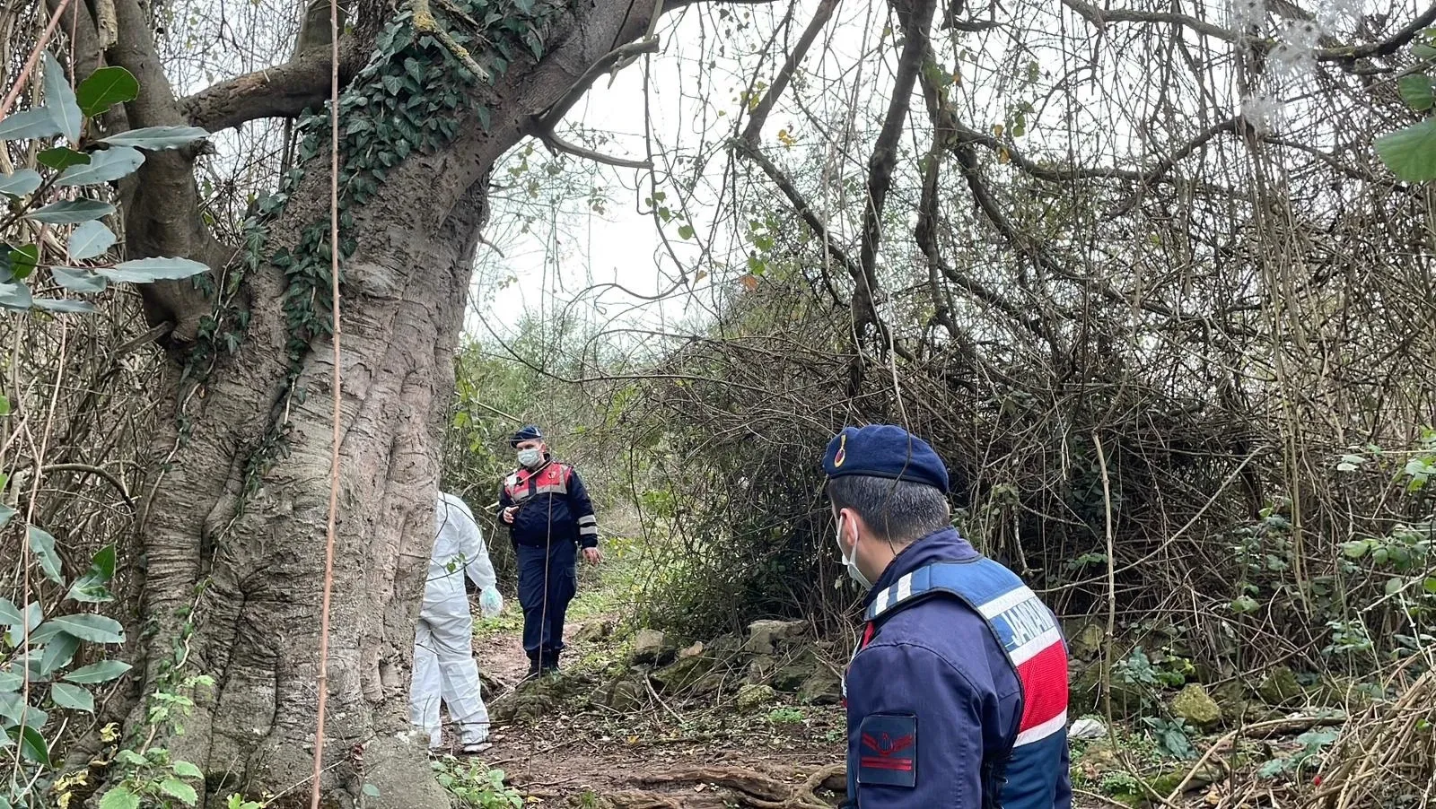 365238970 1769695379