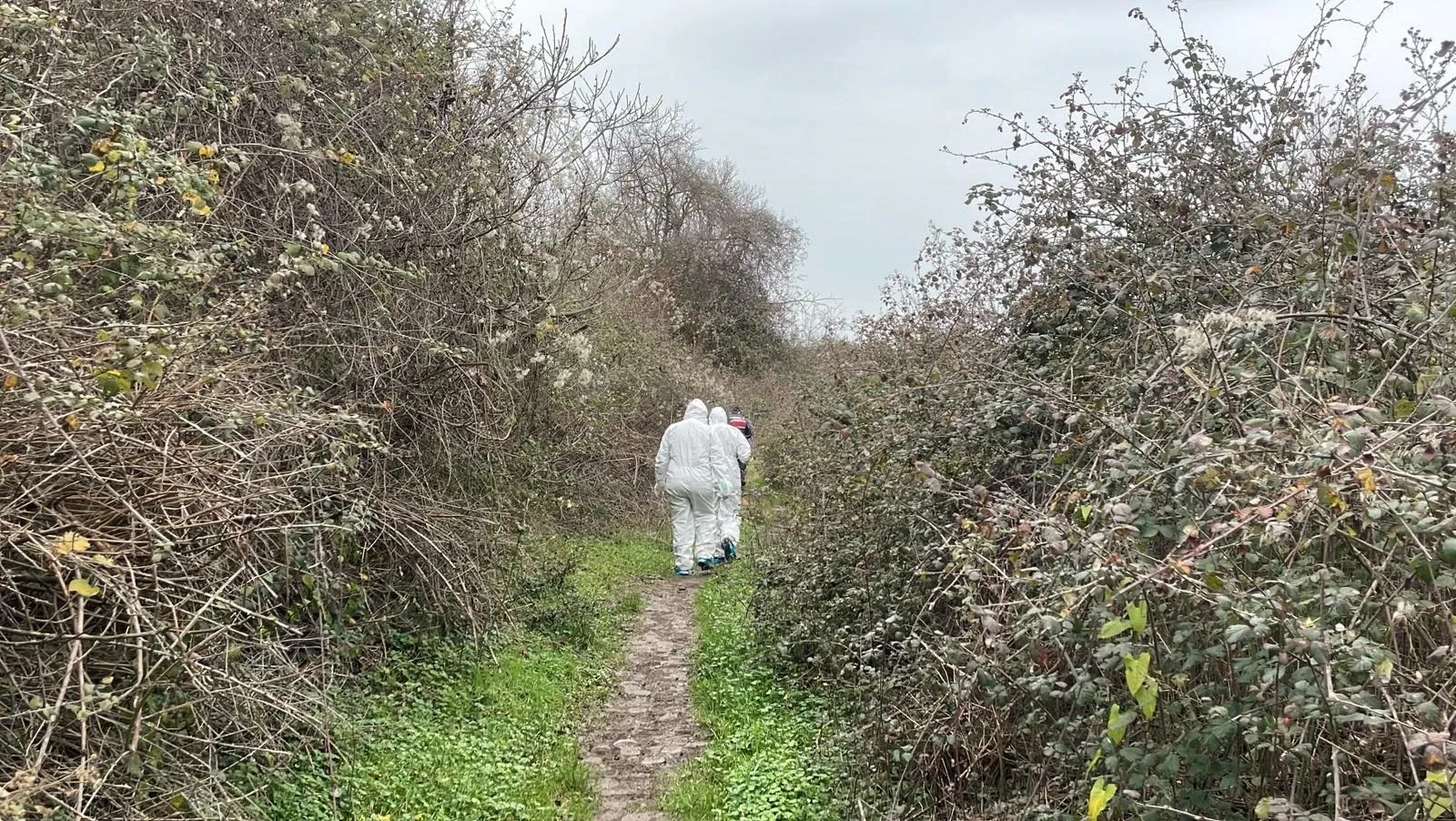 365238971 1769695380