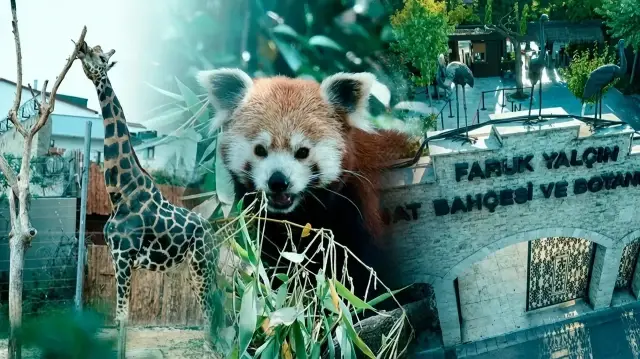 4Fae902F Al8Bndyc7E5G1Uxfs5D5Wk