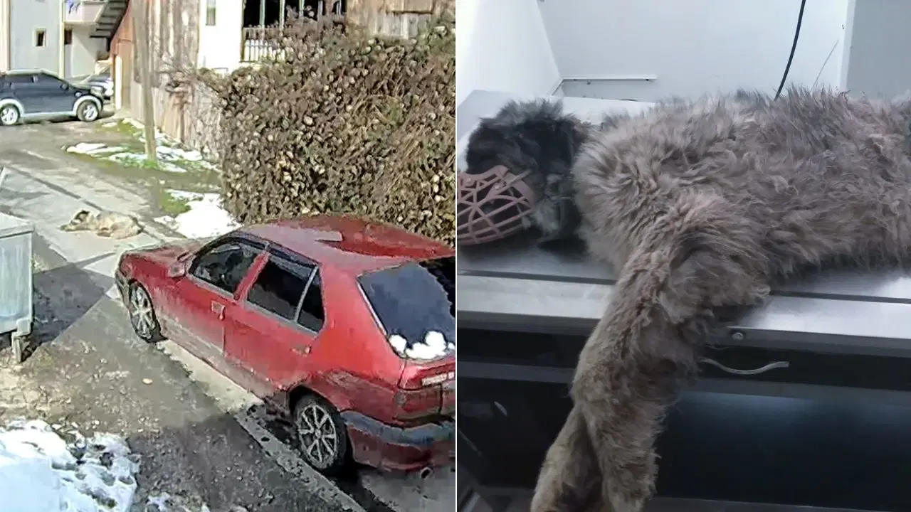 57F66Fb5 1D5C 42A1 947A 17Db04E2D7Cf