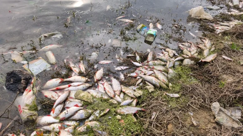 Aa202601054016804140168038Eyupsultanilesultangaziarasindakigoletteyosunpatlamasinedeniylebalikolumle F Ob Qq Y4X N0Qx4 H P O34 Gbg