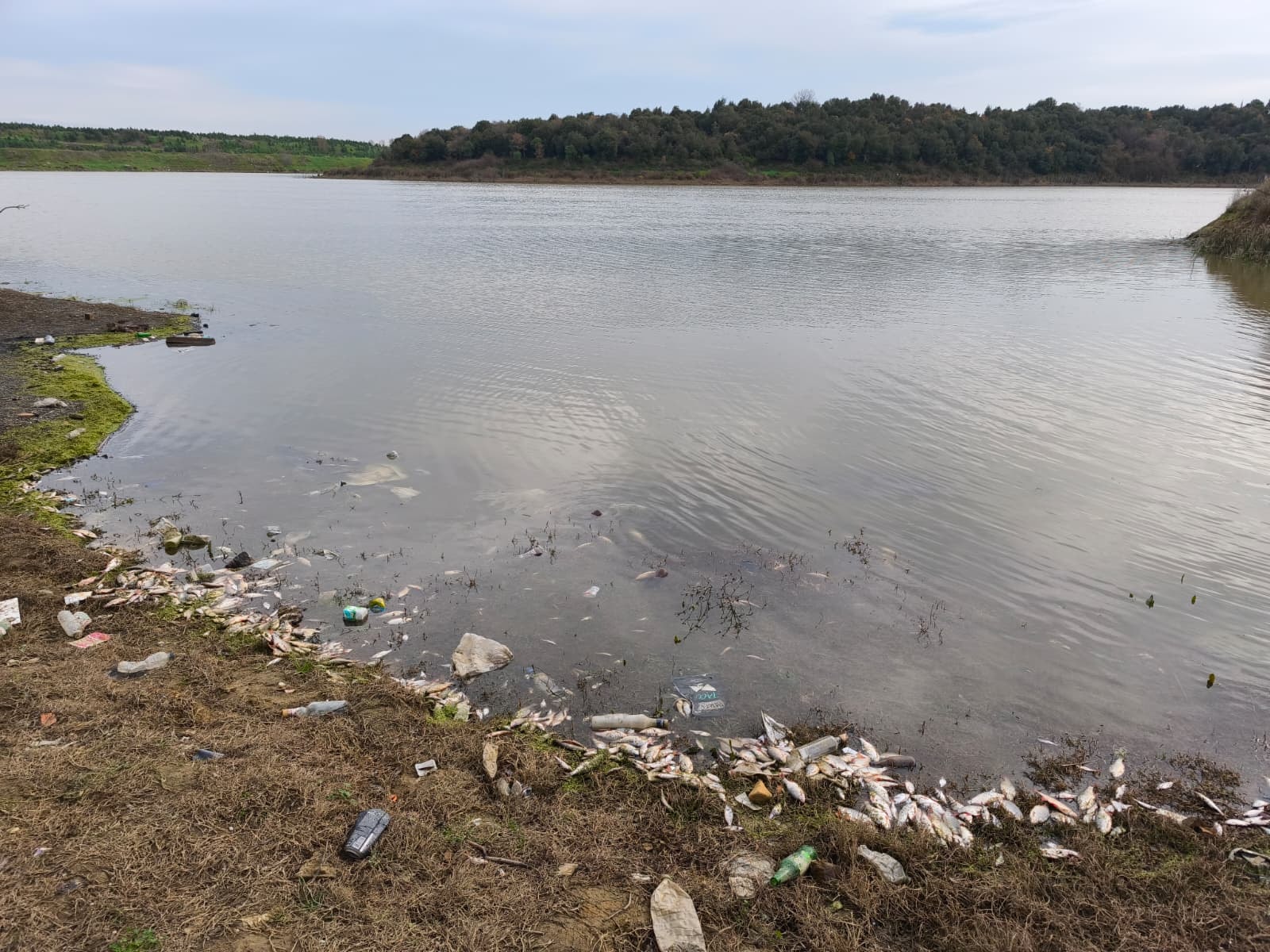 Aa202601054016804140168039Eyupsultanilesultangaziarasindakigoletteyosunpatlamasinedeniylebalikolumle Sor Fx Dc Ee9L R39L Xq Eyg