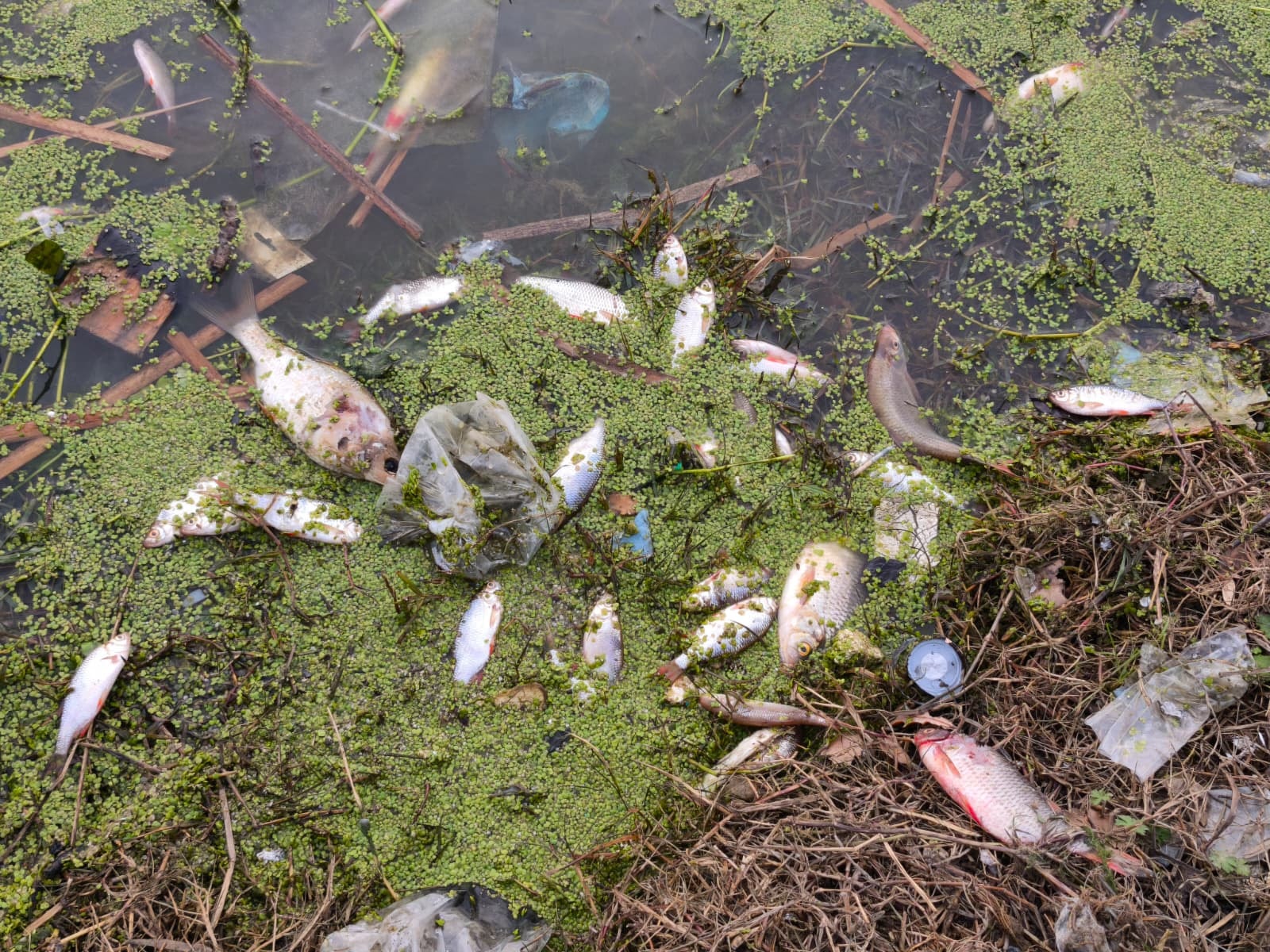 Aa202601054016804140168040Eyupsultanilesultangaziarasindakigoletteyosunpatlamasinedeniylebalikolumle U M Nli O3 B I Ua I Oh2 N X7 G X Q