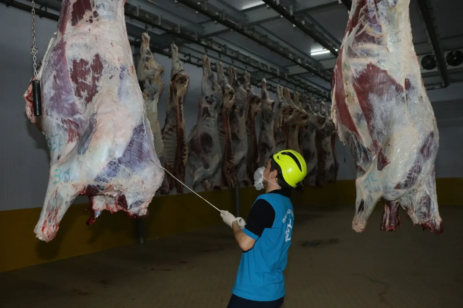 Buyuksehir Mezbahasinda 6 Bin 29 Kesim Yapildi 3 Buyuk