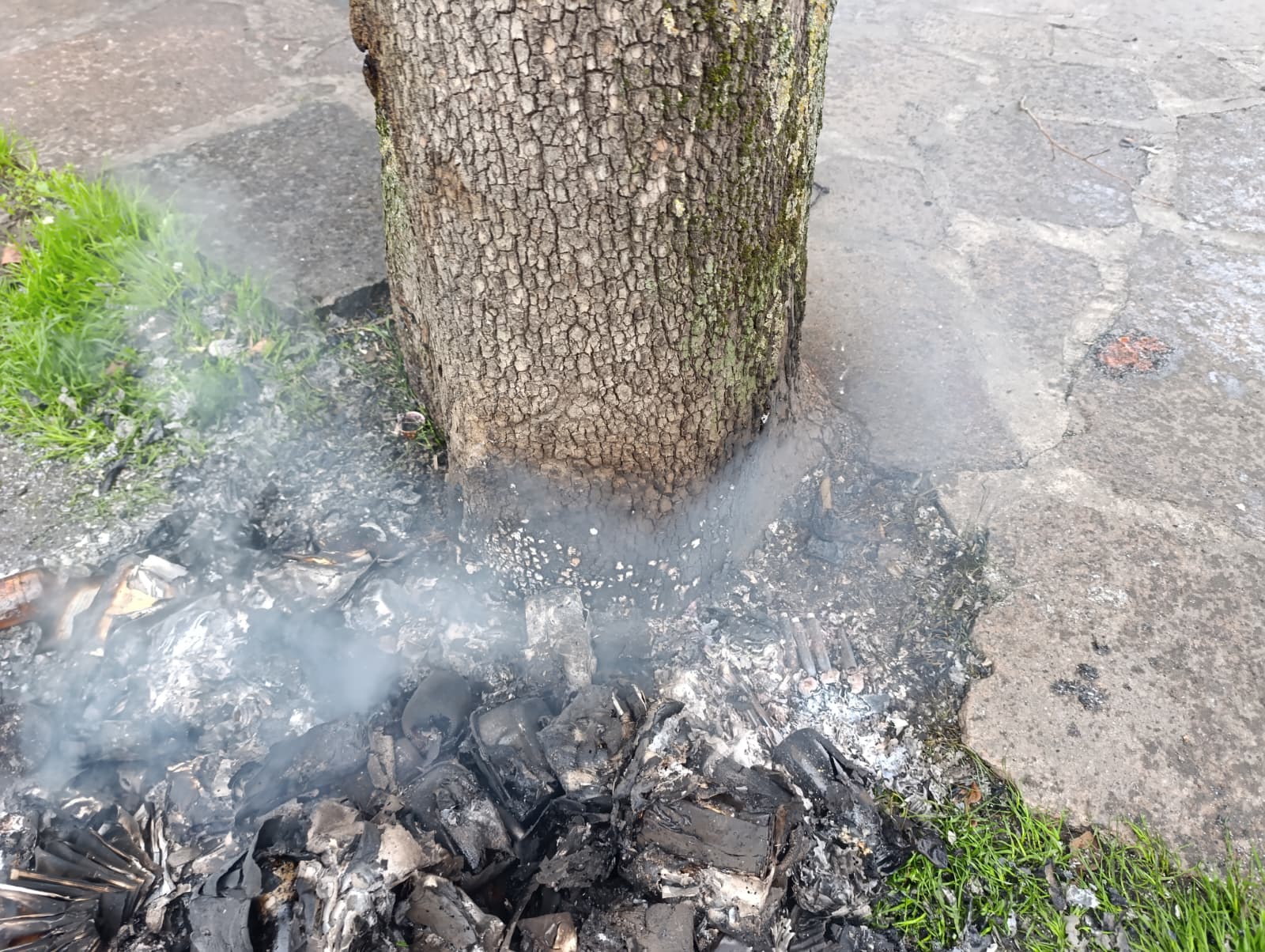 Büyükşehir Zabıtasının Dikkati Olası Yangını Önledi (2)