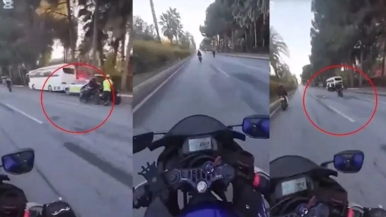 C39D1F66 9220 454A 9F33 339C5484Ef33