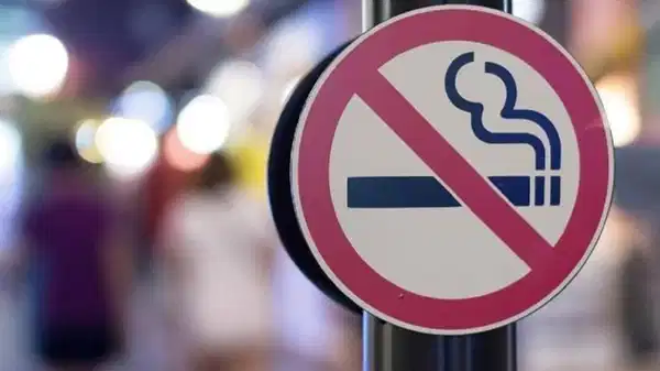 D795B2Ef 8A51 4691 B3A7 162D2Da74Bdf.jpg