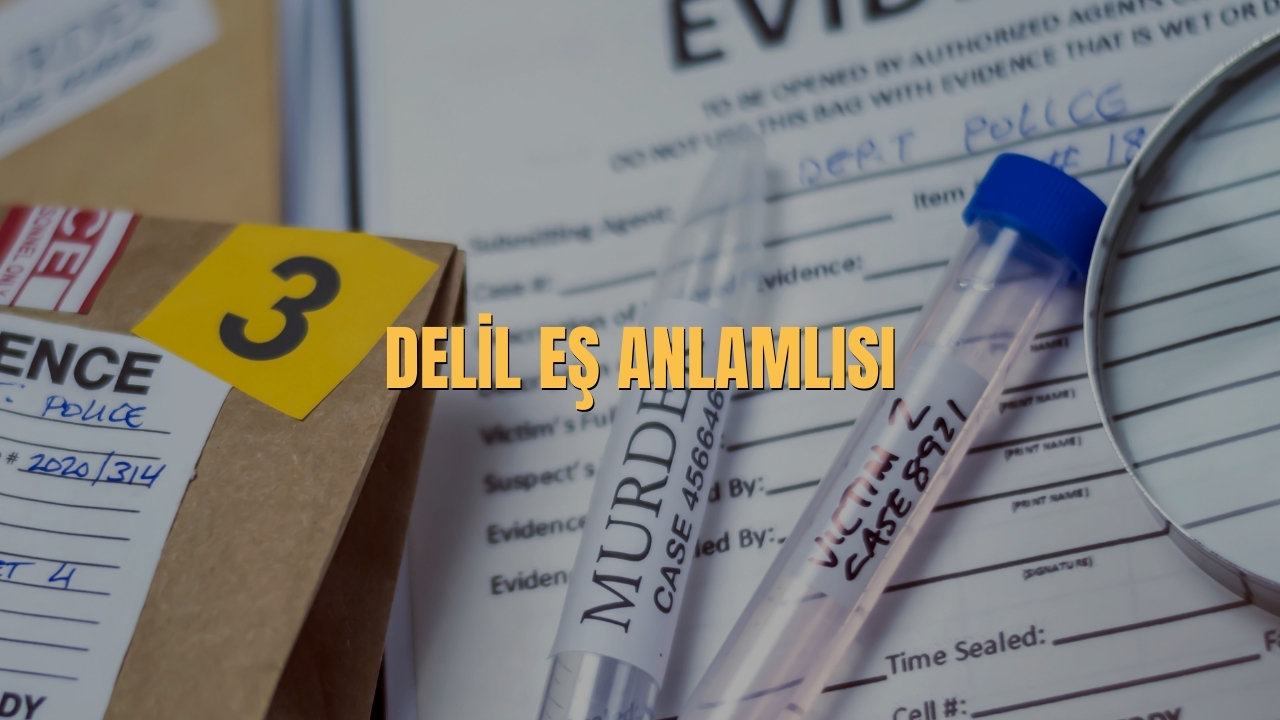 Delil Es Anlamlisi Nedir