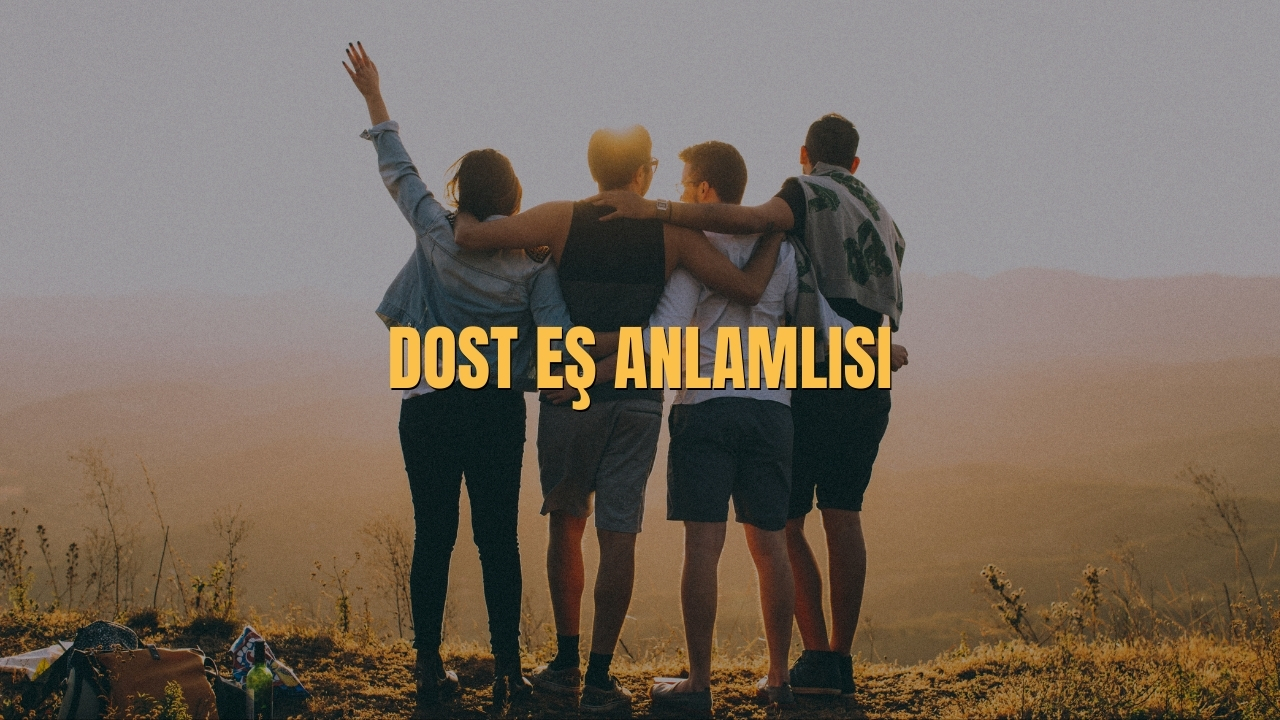 Dost Es Anlamlisi