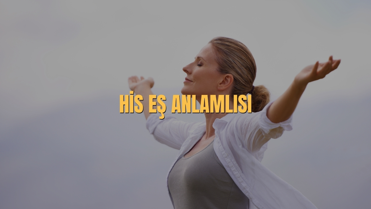 His Es Anlamlisi Nedir