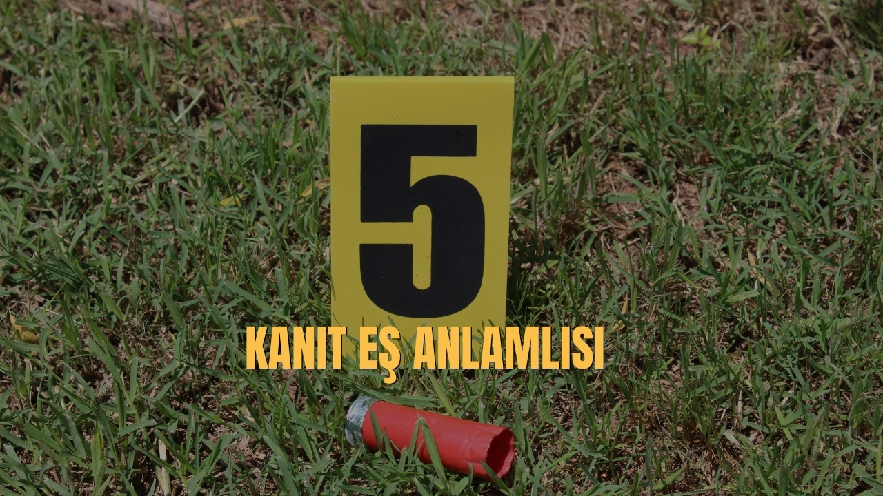 Kanit Es Anlamlisi Nedir