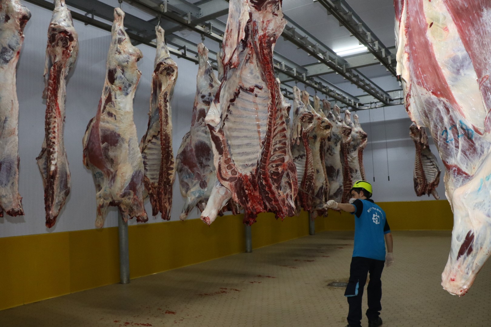 Kasapların Tercihi Büyükşehir Mezbahası (1) (Büyük)