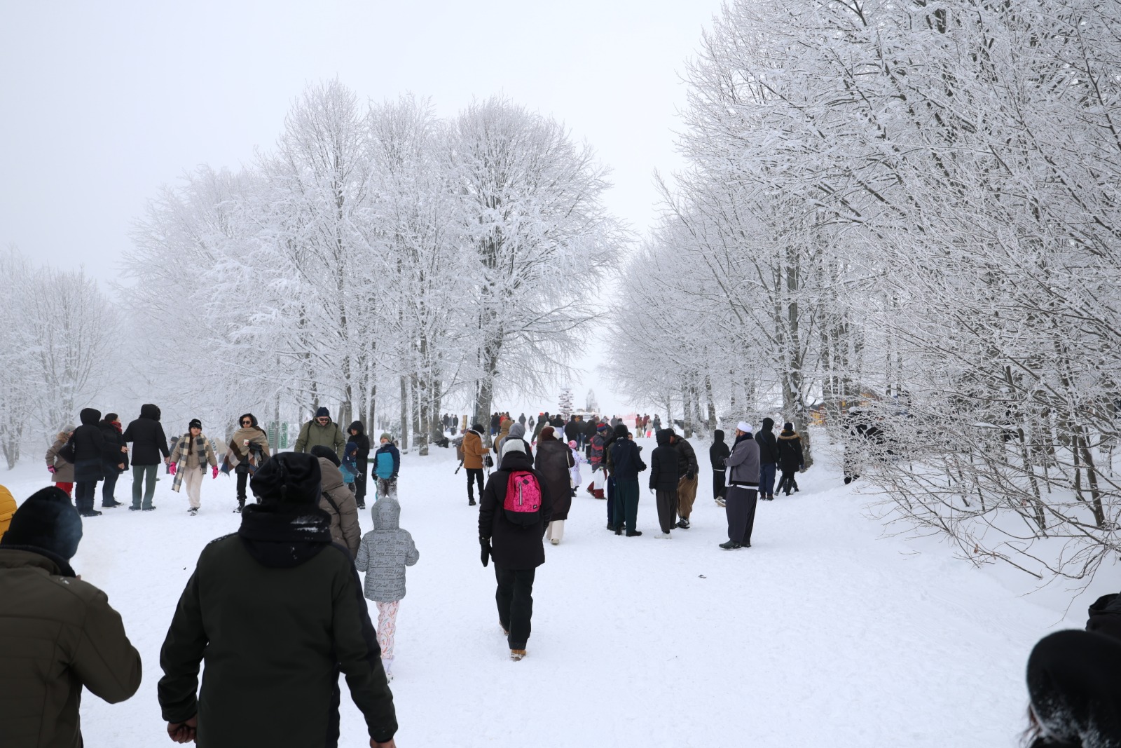 Kuzuyayla'da Kar Keyfi Kış Masalına Dönüştü (2)-1