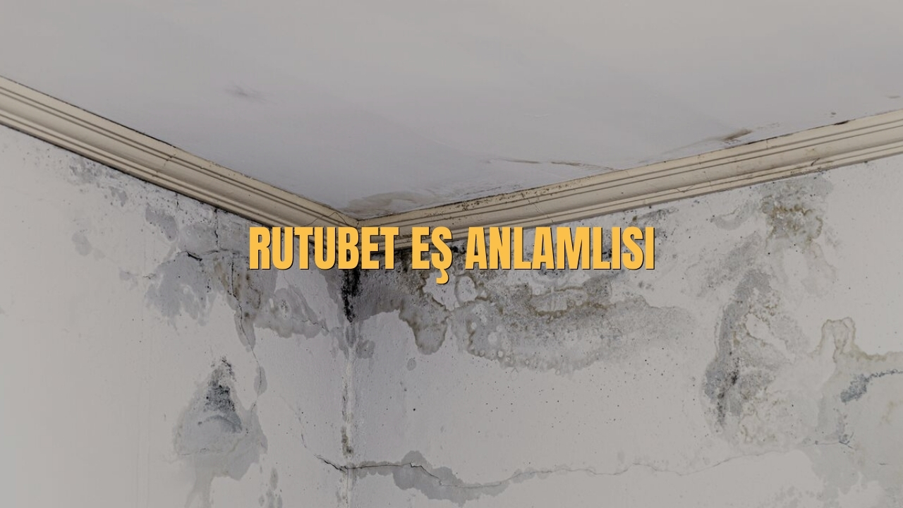 Rutubet Es Anlamlisi Nedir
