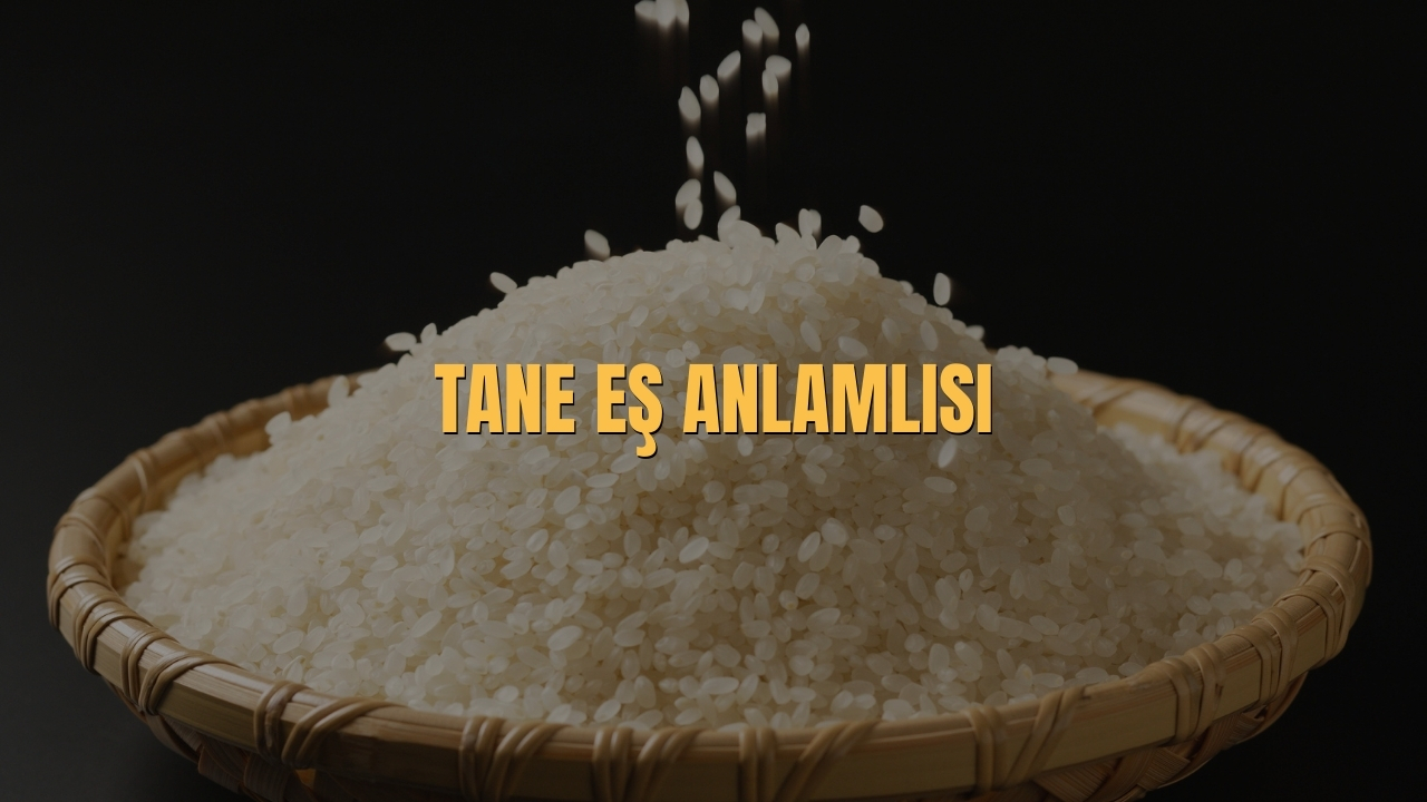 Tane Es Anlamlisi Nedir