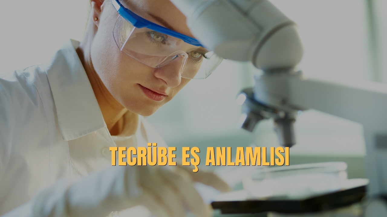 Tecrube Es Anlamlisi Nedir