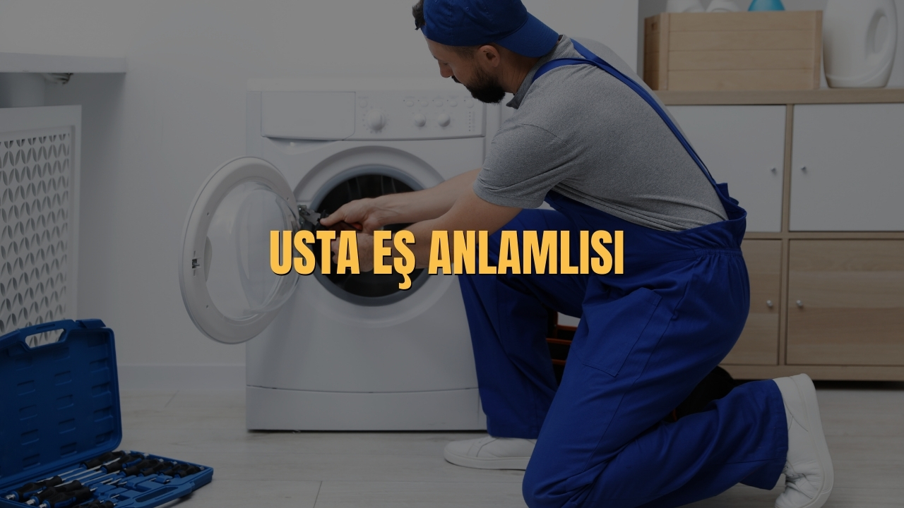 Usta Es Anlamlisi Nedir