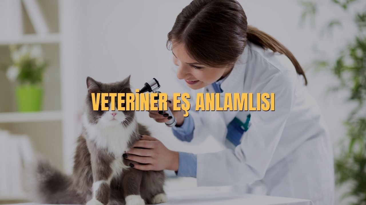 Veteriner Es Anlamlisi