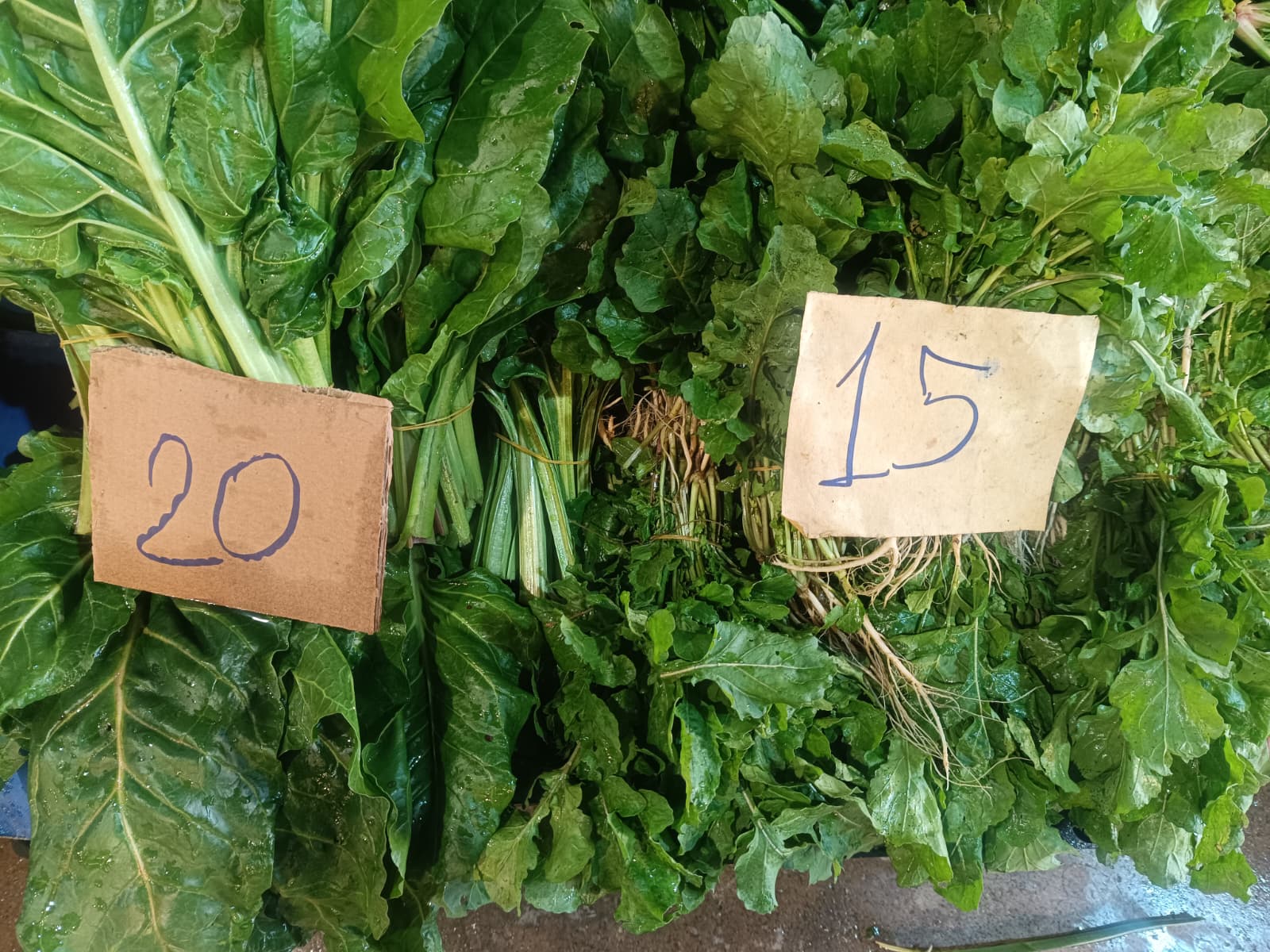 Whatsapp Image 2026 01 01 At 10.45.52 (1)