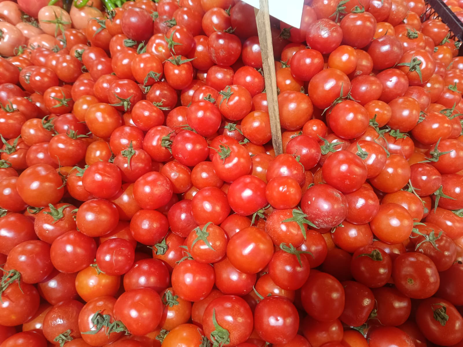 Whatsapp Image 2026 01 01 At 10.45.53 (1)