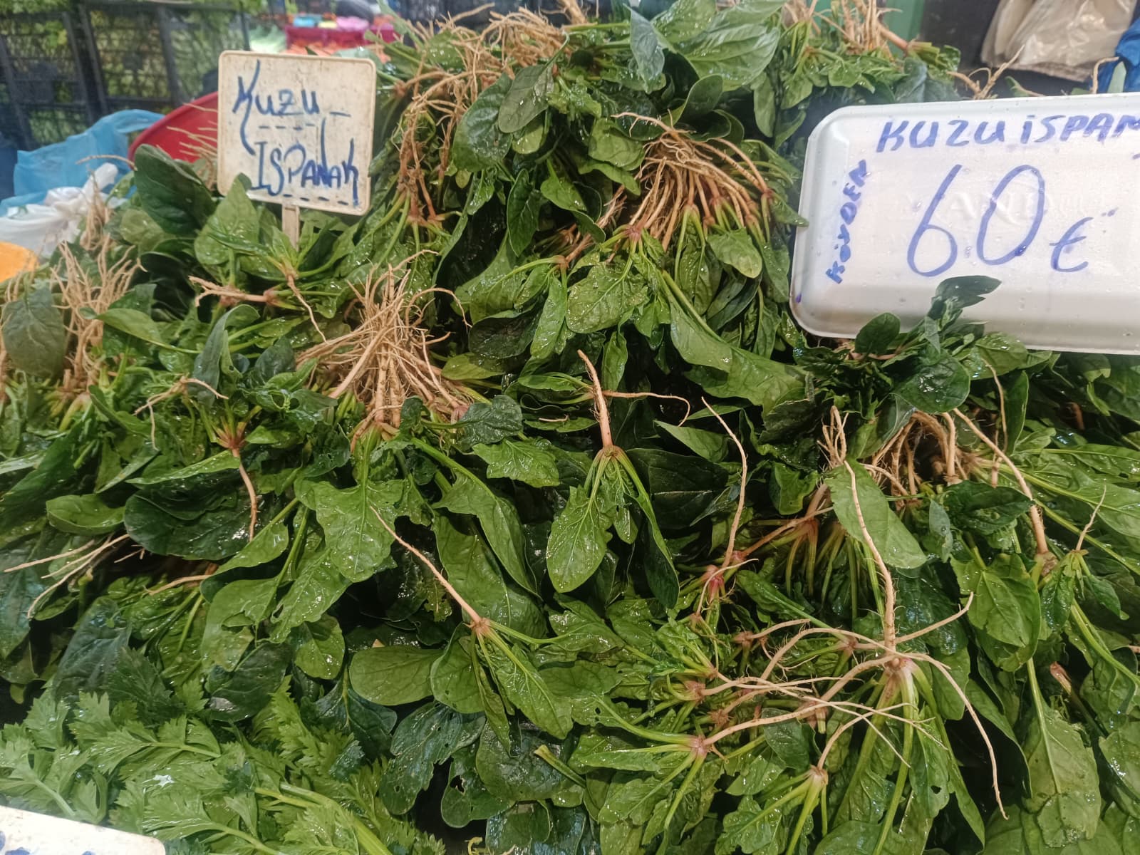 Whatsapp Image 2026 01 01 At 10.45.53