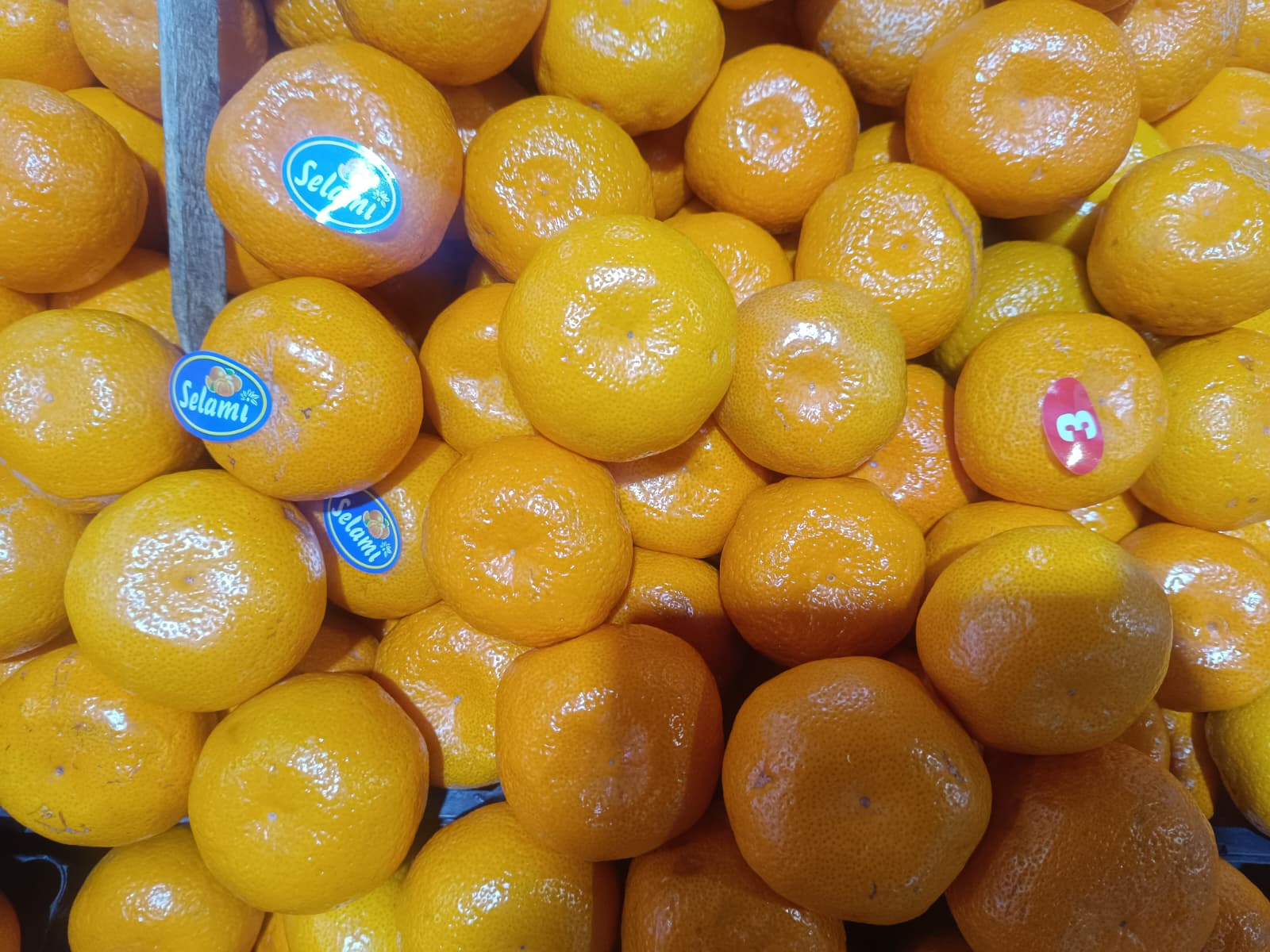 Whatsapp Image 2026 01 01 At 10.45.54