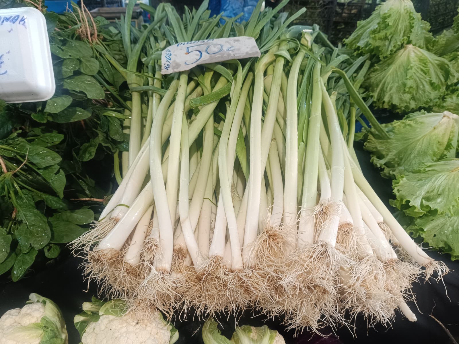 Whatsapp Image 2026 01 01 At 10.46.12