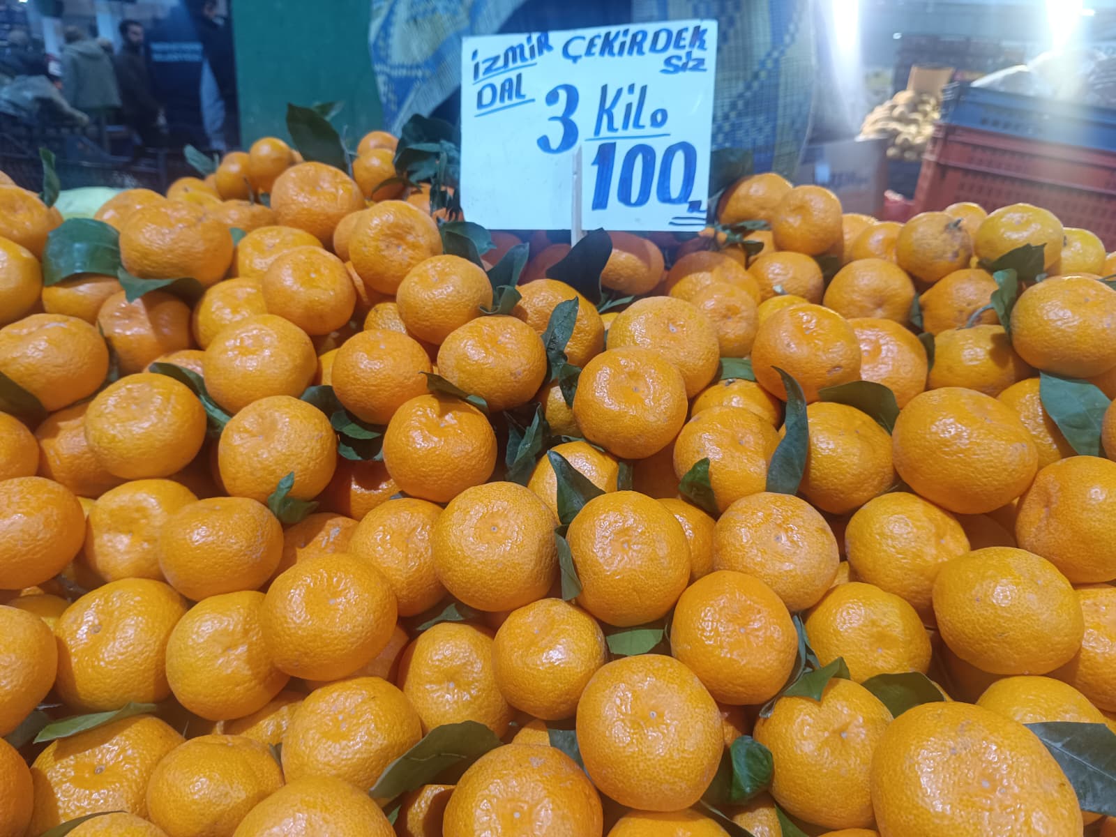 Whatsapp Image 2026 01 08 At 10.15.46 (1)