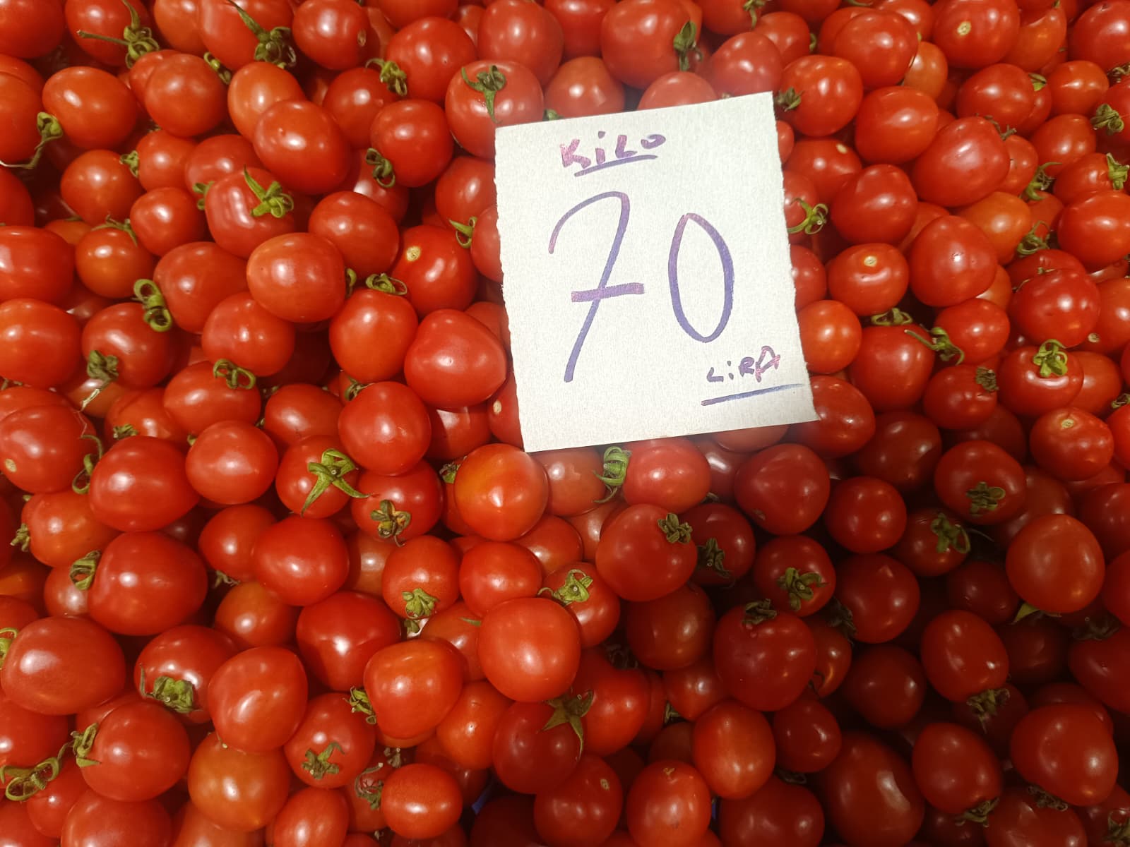 Whatsapp Image 2026 01 08 At 10.15.47