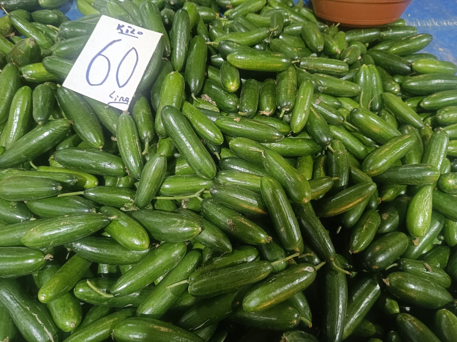 Whatsapp Image 2026 01 08 At 10.15.48