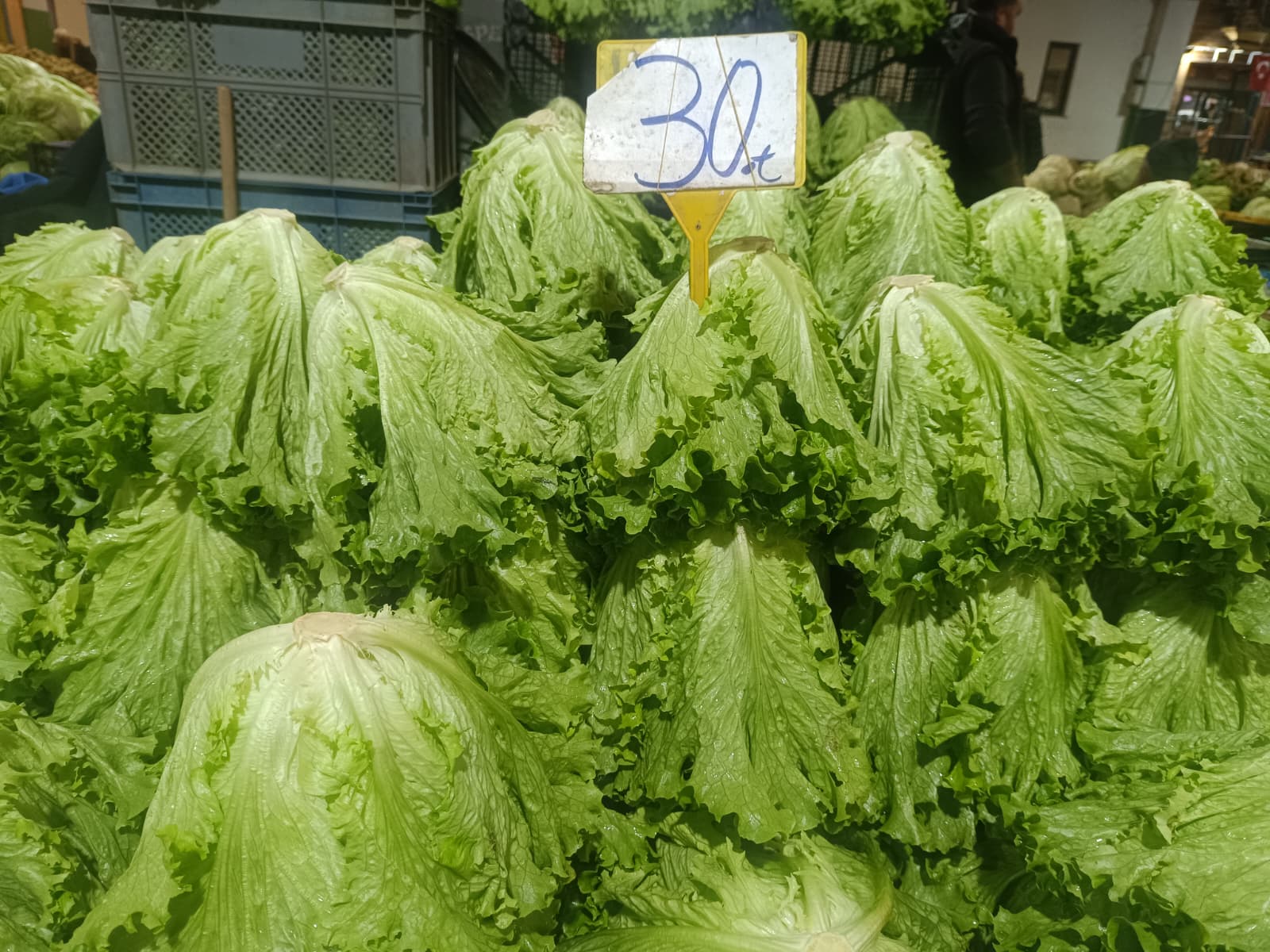 Whatsapp Image 2026 01 08 At 10.15.49 (1)