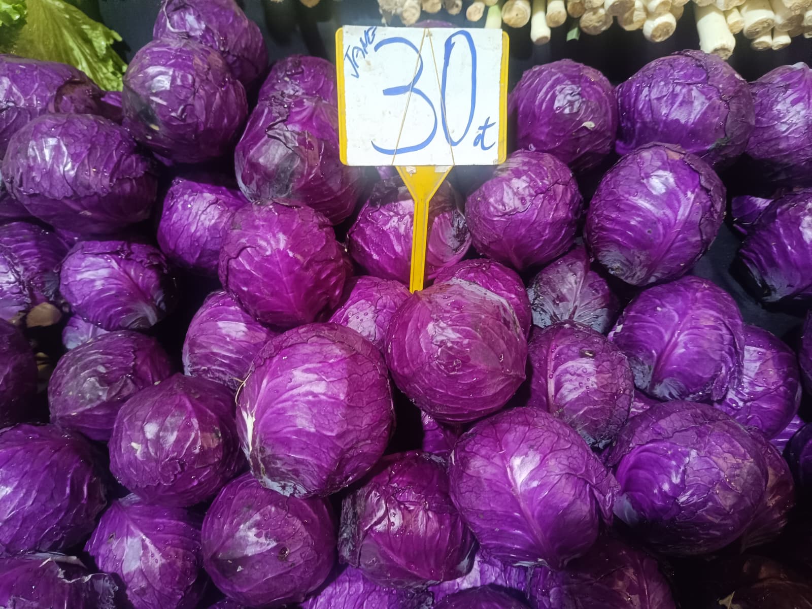 Whatsapp Image 2026 01 08 At 10.15.49 (2)