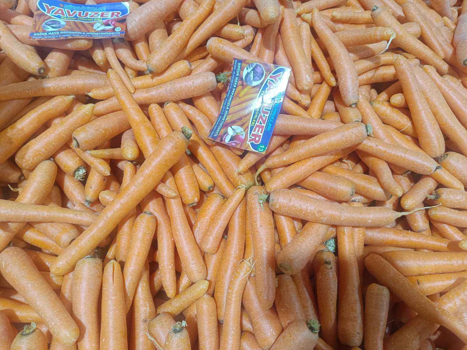 Whatsapp Image 2026 01 08 At 10.15.49