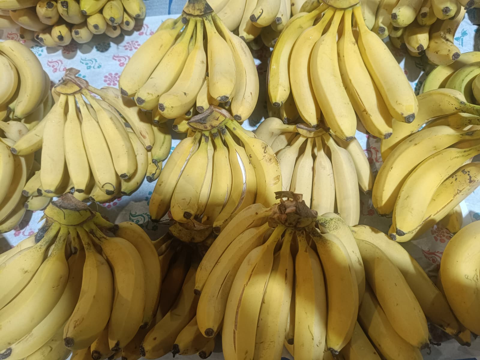 Whatsapp Image 2026 01 08 At 10.15.50