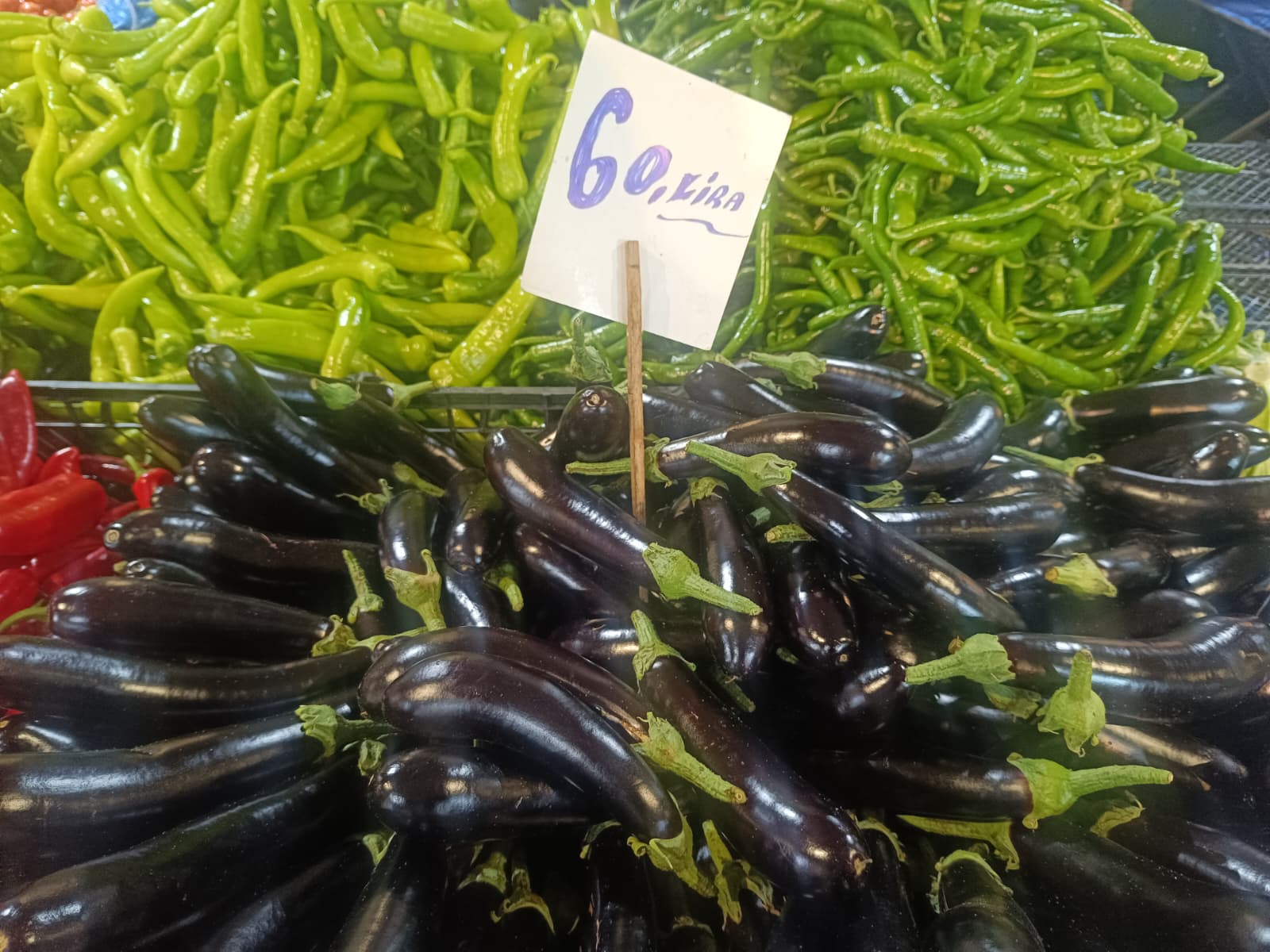 Whatsapp Image 2026 01 08 At 10.15.56