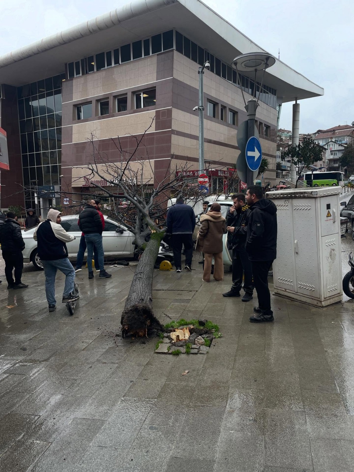 Whatsapp Image 2026 01 08 At 14.31.30