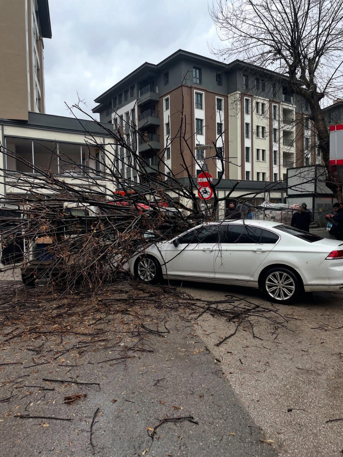 Whatsapp Image 2026 01 08 At 14.31.31 (1)