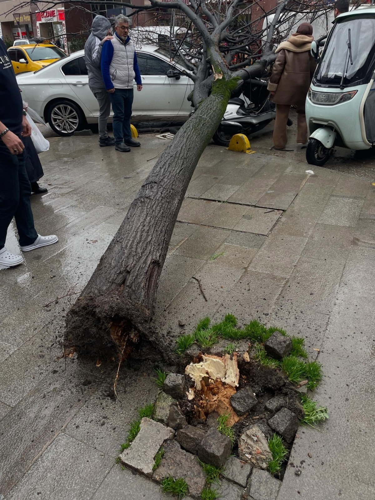 Whatsapp Image 2026 01 08 At 14.31.31 (2)