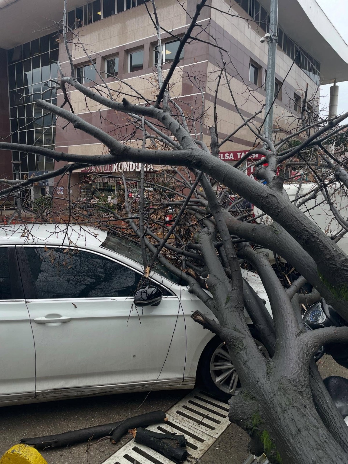 Whatsapp Image 2026 01 08 At 14.31.31