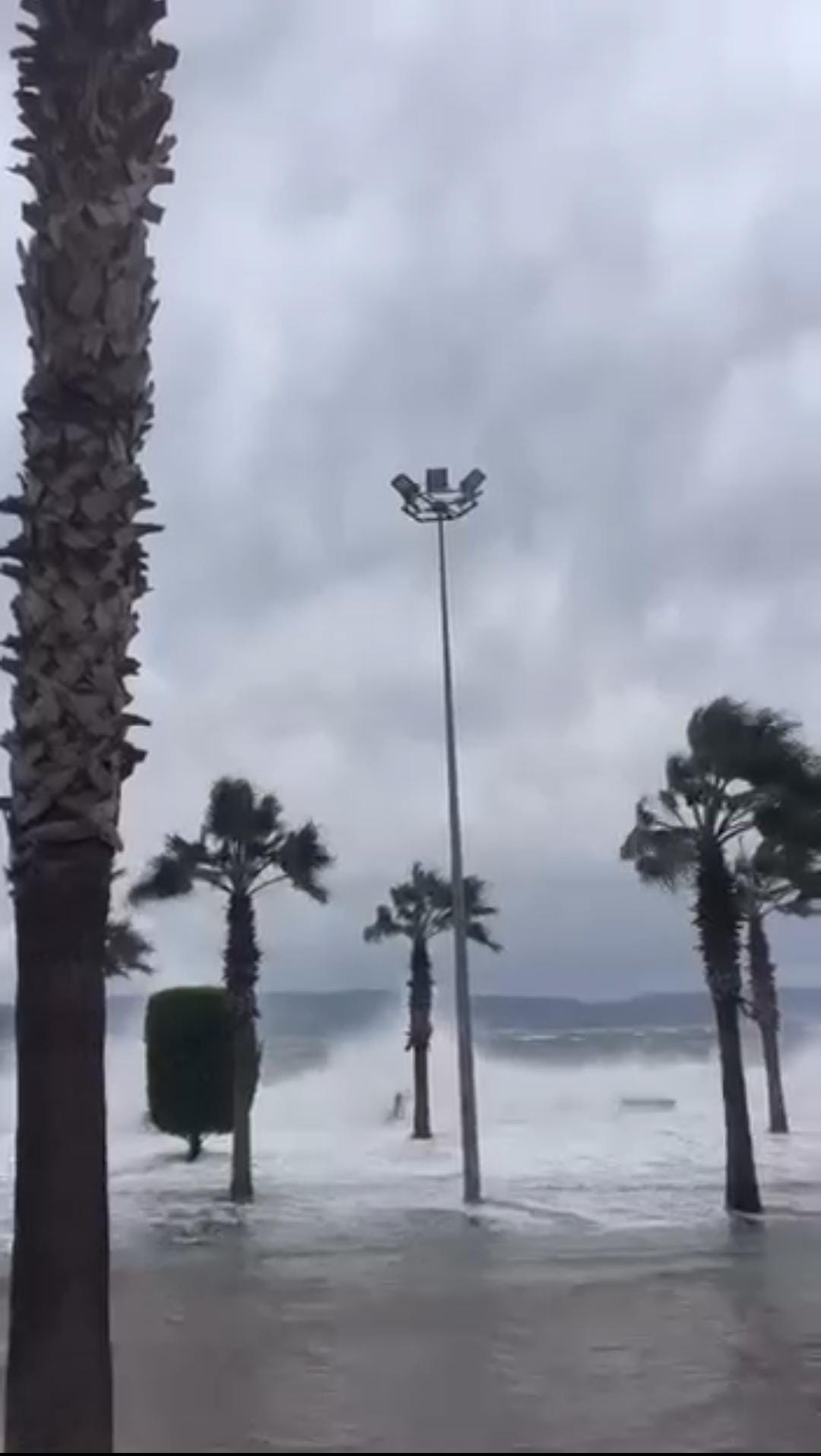 Whatsapp Image 2026 01 08 At 15.14.16 (1)