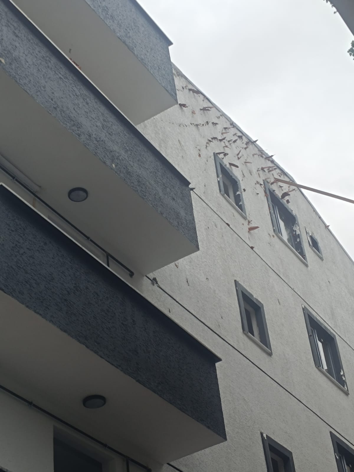 Whatsapp Image 2026 01 08 At 15.59.43 (3)