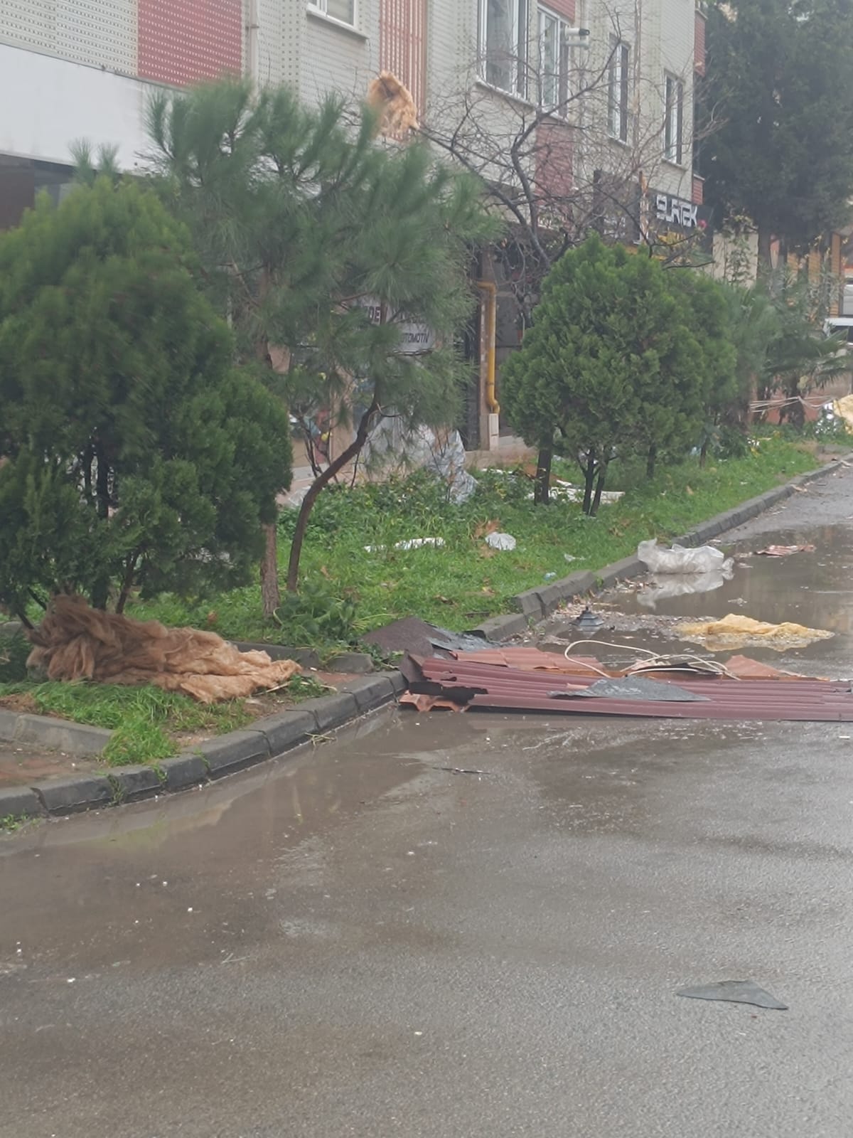 Whatsapp Image 2026 01 08 At 15.59.44 (2)