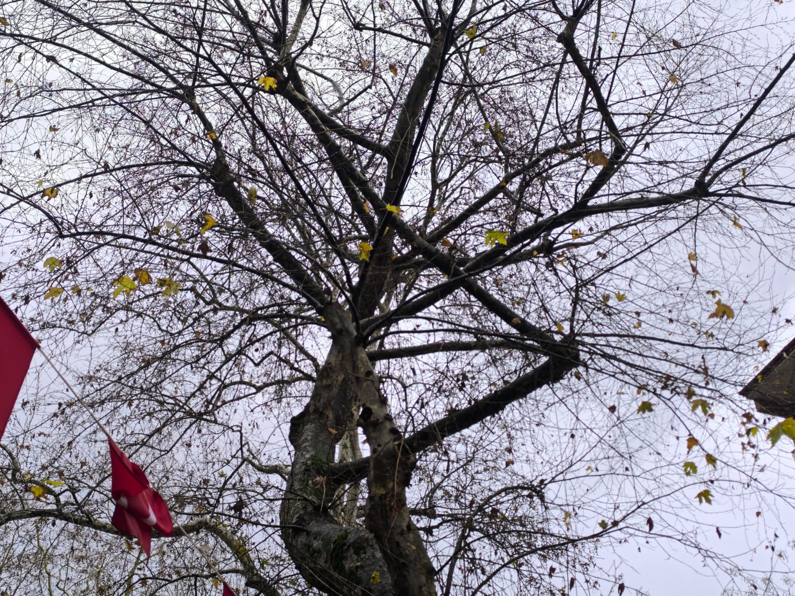 Whatsapp Image 2026 01 09 At 16.16.20 (3)