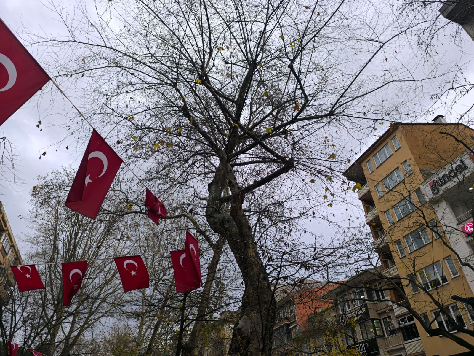 Whatsapp Image 2026 01 09 At 16.16.30 (2)